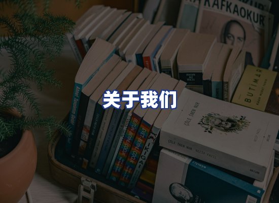 专业团队
